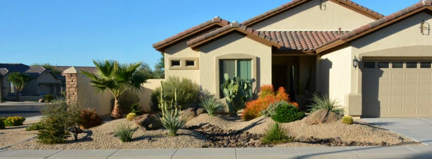 Desert front yard in Gilbert, Arizona with fresh xeriscaping, palms and clean rock beds maintained by Premier Lawn Care